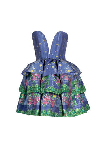 Cosmos Dress