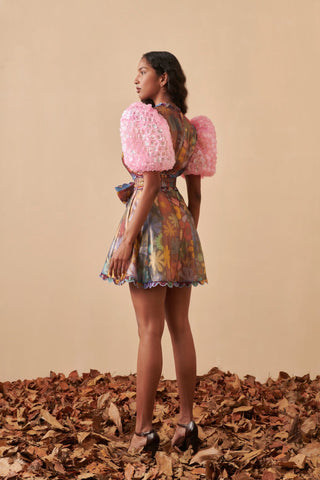 Hará Dress - CELIA B